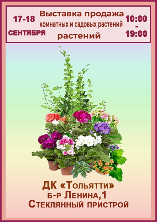 Комнатные и садовые растения в ДК Тольятти