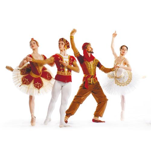 Раймонда в ДК Тольятти